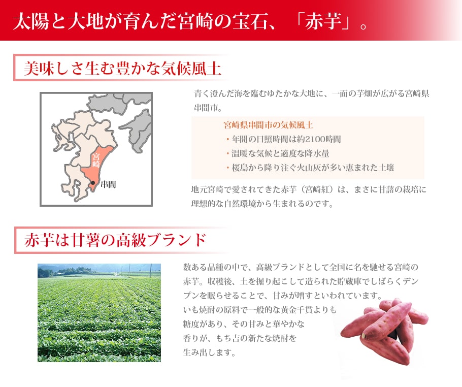 太陽と大地が育み育てた宮崎の宝石、「赤芋」。