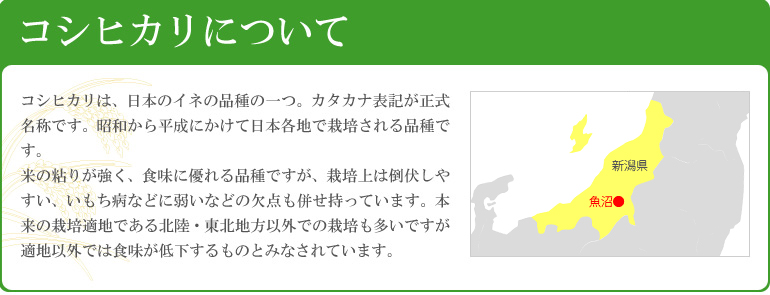 こしひかりについて