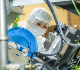 写真：作業している女性職員